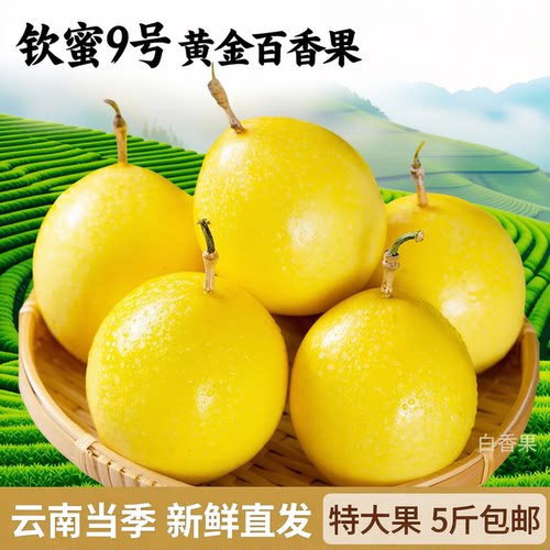 钦蜜9号百香果5斤包邮当季鲜
