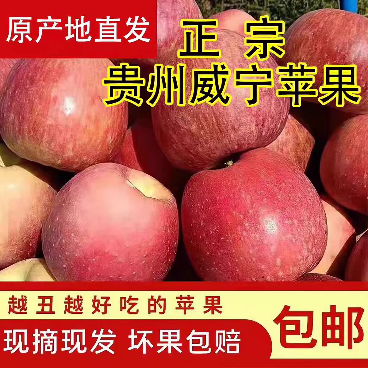 贵州威宁黑石苹果原产地直发新鲜红富士当季现摘乌蒙山苹果脆甜