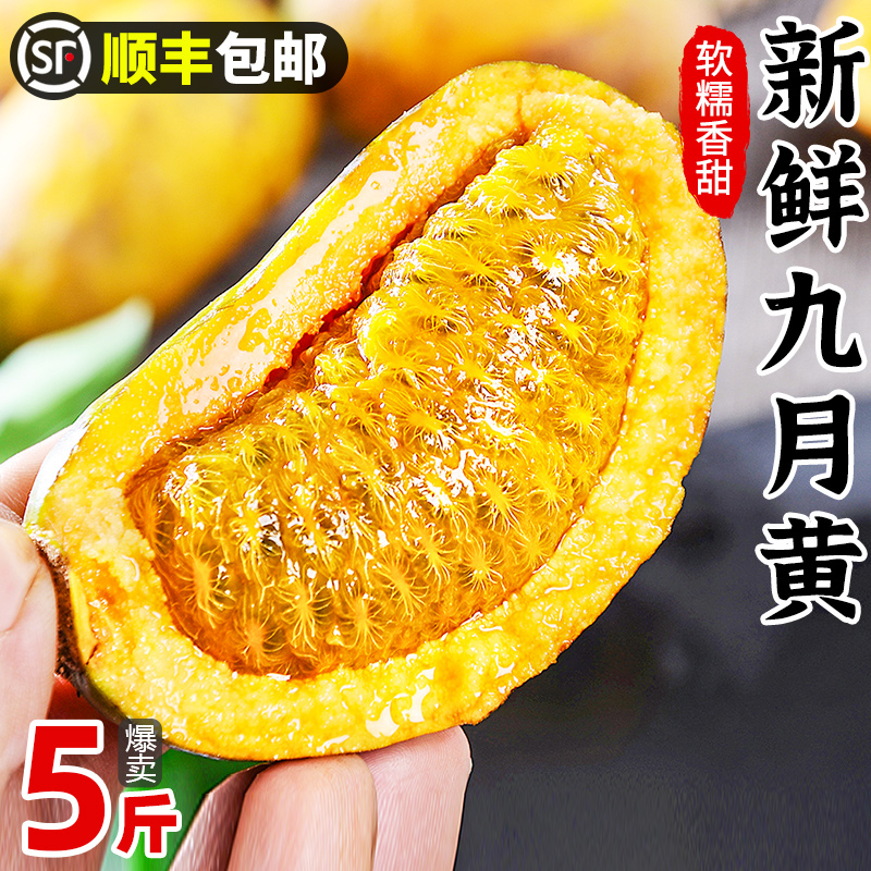 新鲜九月黄5斤应季水果拿麻藤包