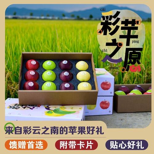 云南特产苹果礼盒多品种混装