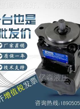 丹尼逊定量叶片泵T6EE-050-072-2R00-C100 042/052-062/066-B100