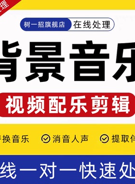 视频背景音乐伴奏添加微声音人声音频配音婚礼朗诵演讲制作提取图