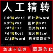ppt pdf转换word图片扫描文件可编辑图excel txt 表格txt文档代做