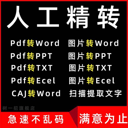 pdf转换word图片扫描文件可编辑图excel/txt/ppt/表格txt文档代做