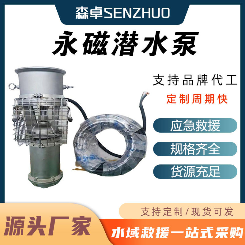 便携式永磁变频防汛泵 高扬程潜水泵 应急轻便型排水泵 不锈钢潜