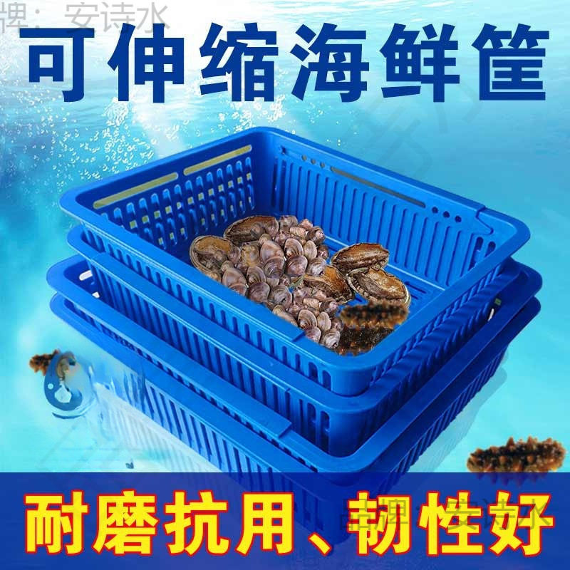 正方型塑料框新款可海鲜花甲盒吐沙贝壳支脚筐透水饭店市场