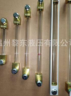 直销全钢金属耐高温低温型YWZ-80T-100T-125T液位液温计油面计