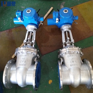 IP68整体型304材质法兰电动闸阀 DN300电动不锈钢闸阀 Z941W 64P