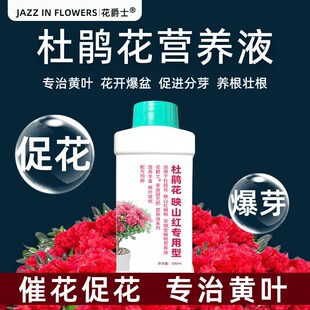 杜鹃花专用营养液喜酸性植物皋月泣血高山杜鹃花肥料专用肥叶面肥