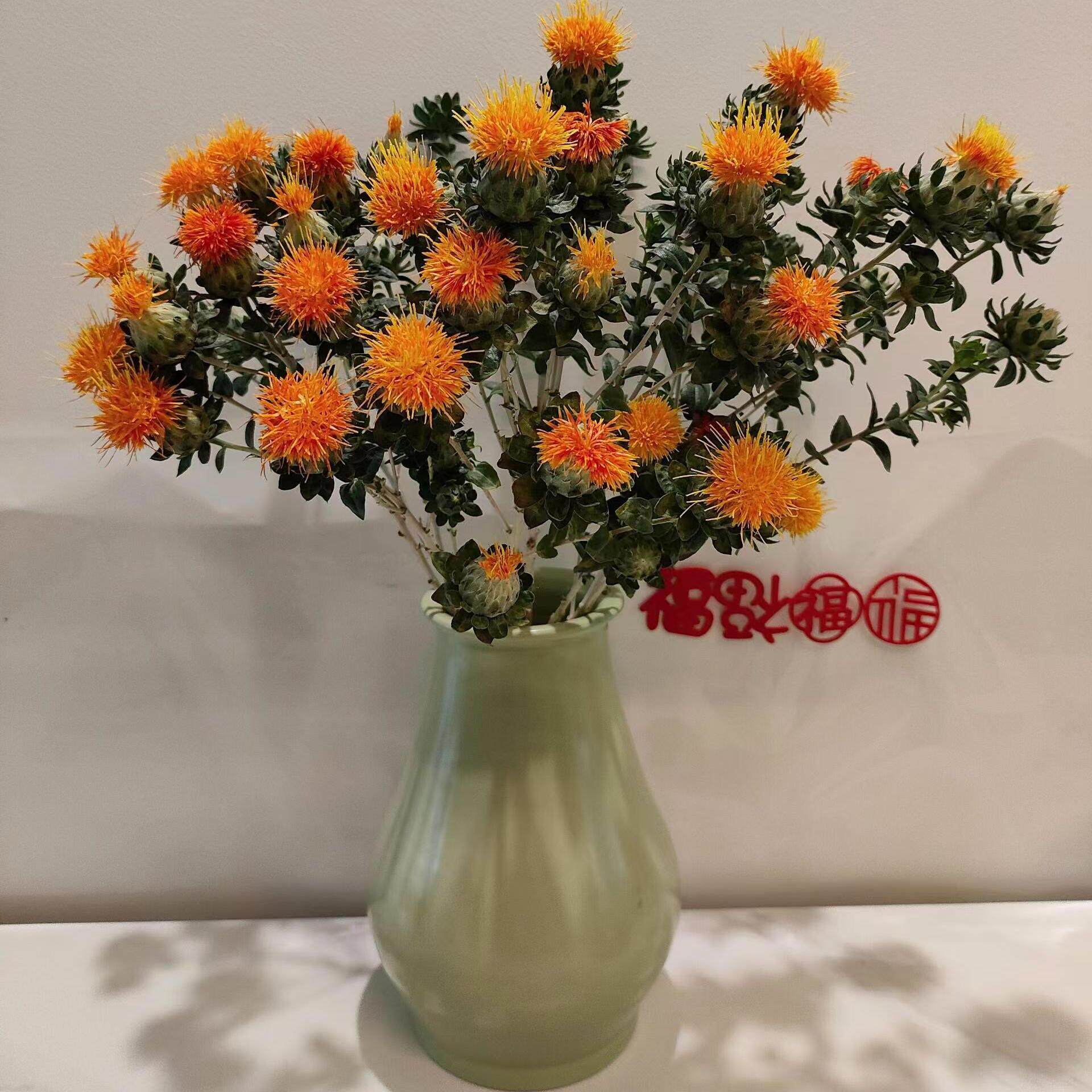 【空运包邮】橙菠萝菠萝菊鲜花家庭插花拍摄装饰可以做干花小众
