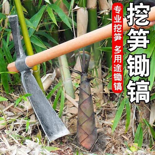 挖笋专用挖树跟锄头轨道钢青冈柄手工锻打挖土挖冬笋神器锄斧两用