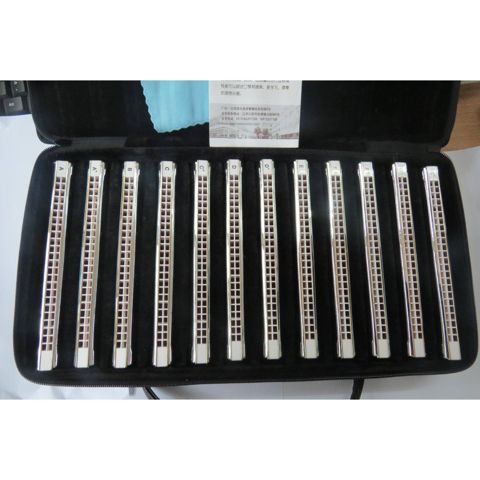 24孔东方鼎口琴12S调T2406S-1装T206-12创演意奏口琴工4厂