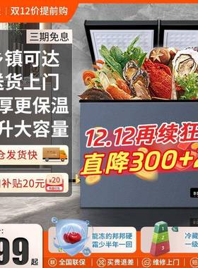 霜冻净味商减用冰柜大型冷冻冷两用ZZ101258双温大容量家用冷柜摆