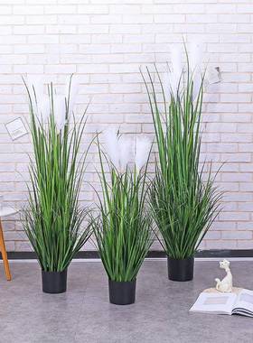 仿真绿狗尾巴芦苇植橱DZU窗装装饰物家居室内植植物饰品仿真落地