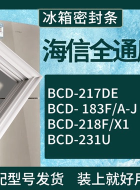 适配海信冰箱BCD-217DE 183F/A-J 218F/X1 231U门密封条磁性胶圈