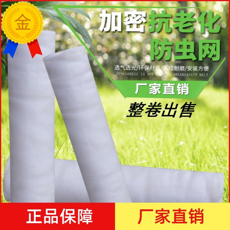 防虫网蔬菜大棚加厚60目80目猪场防蚊网果树青蛙蝗虫养殖网尼龙网