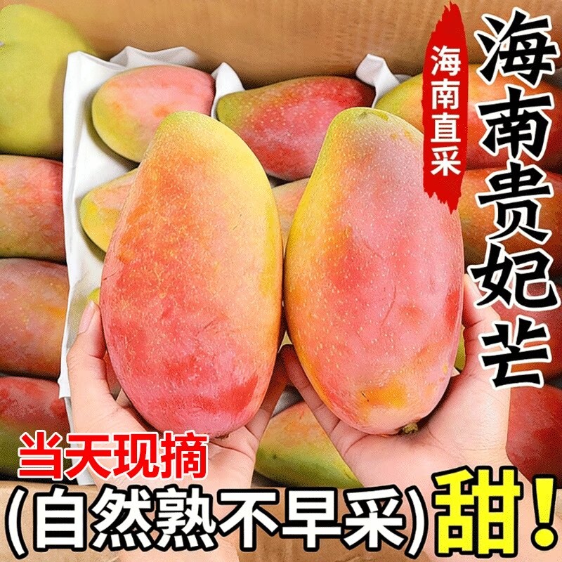 海南贵妃芒芒果新鲜2026水果大果当季整箱树上熟甜心红金龙辣椒芒
