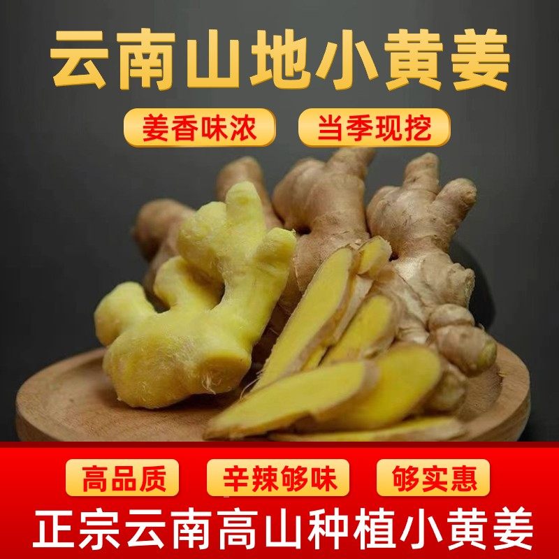 云南小黄姜香味浓郁辛辣够味老姜