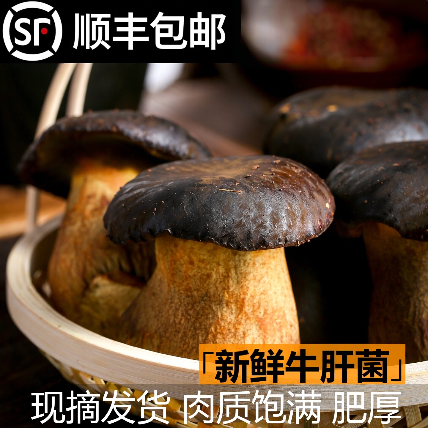 顺丰包邮 新鲜黑牛肝菌菇美味食用非野生菌蔬菜炒菜煲汤山珍时令