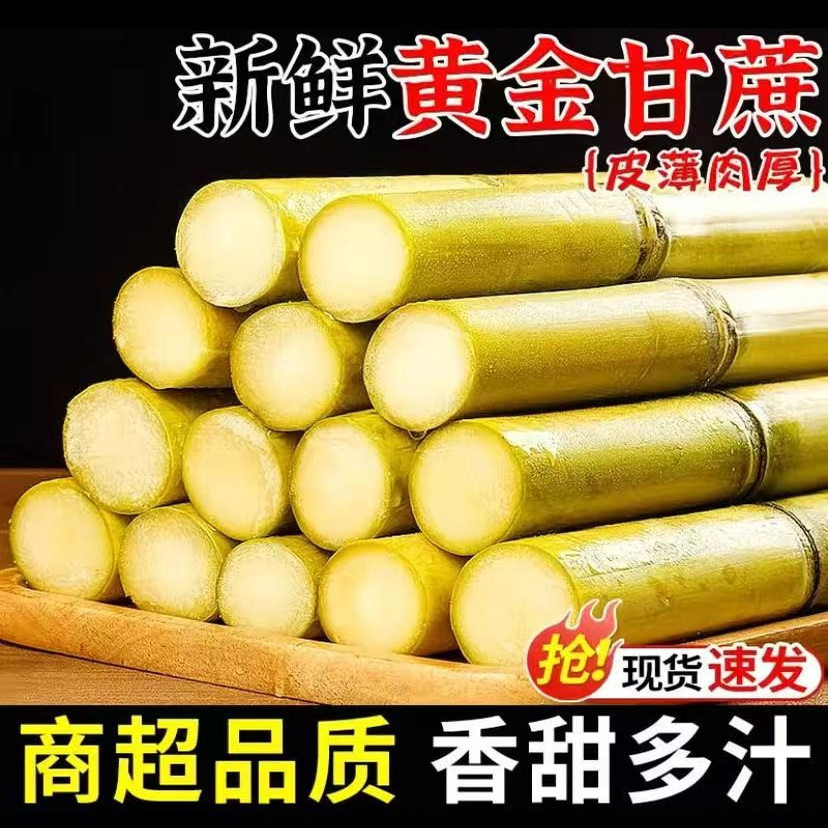 云南黄金甘蔗新鲜脆甜热带水果