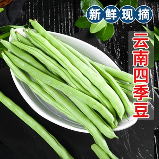 云南高山四季豆现摘无筋豆新鲜蔬菜青豆角非豌豆蚕豆农家时令9斤
