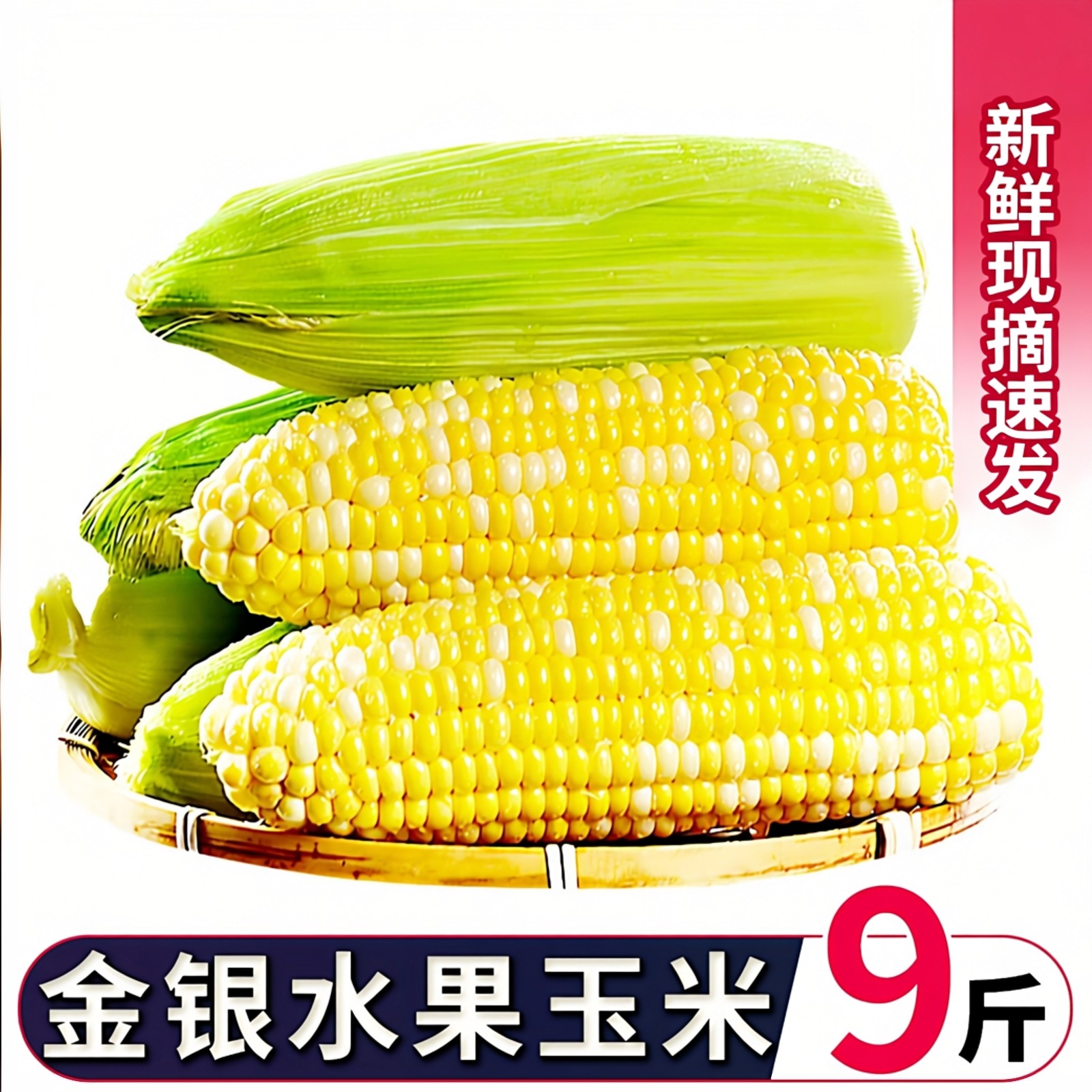 甜脆水果玉米云南金银双色新鲜生吃低脂嫩苞谷带甜脆壳棒9斤包邮,水产肉类/新鲜蔬果/熟食,新鲜玉米,淘宝优惠券,粉丝福利购,淘宝优惠卷