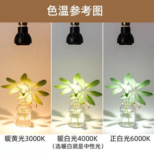 餐饮店COB射灯餐桌聚光灯杯餐厅照明LED帕灯泡E27螺口暖光2700K