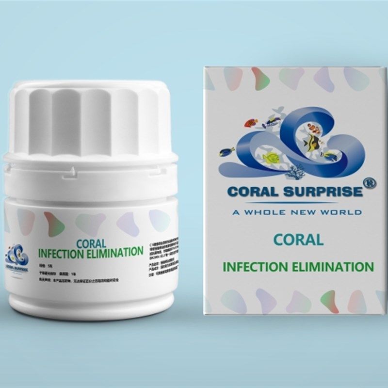 CS小白瓶 珊瑚感染  STN/RTN 布朗冻 真叶硬骨检疫