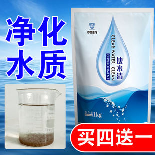 浊水清鱼塘净水剂改善净化水质鱼池新塘浑浊水变清水产养殖调水剂