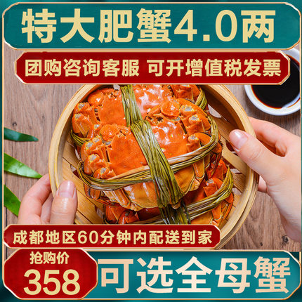【活蟹】10只现货大闸蟹鲜活特大螃蟹兴化公4两母3两江苏湖蟹礼盒