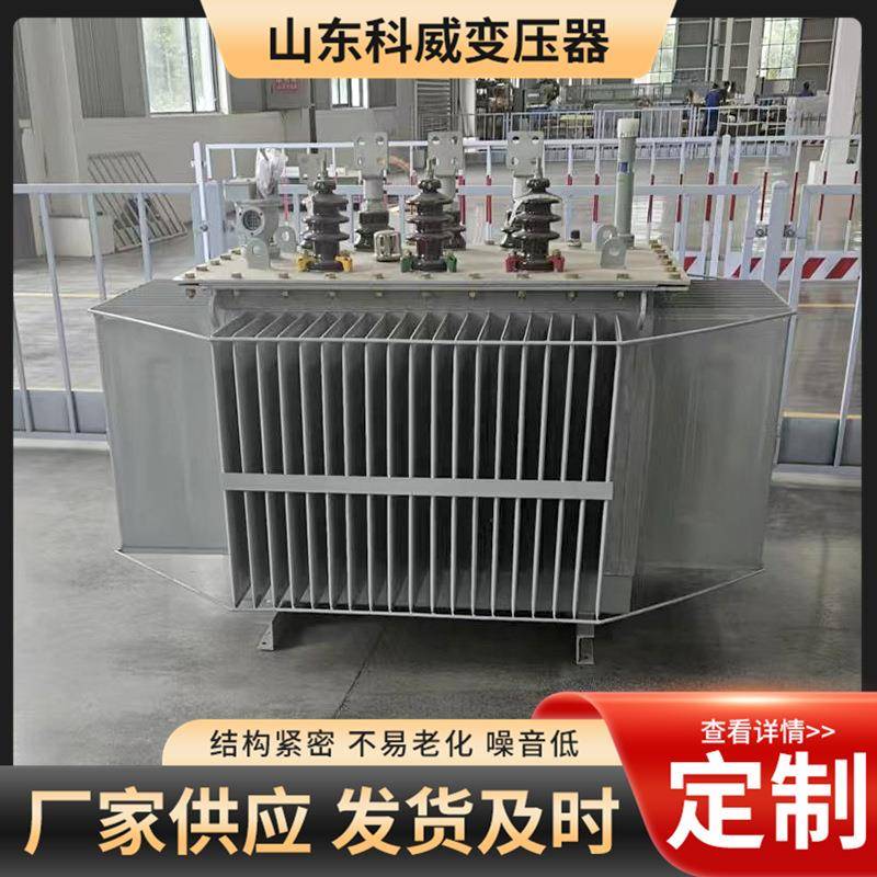 S11/S13/S20-800KVA油浸式变压器10/0.4全铜箱式变压器