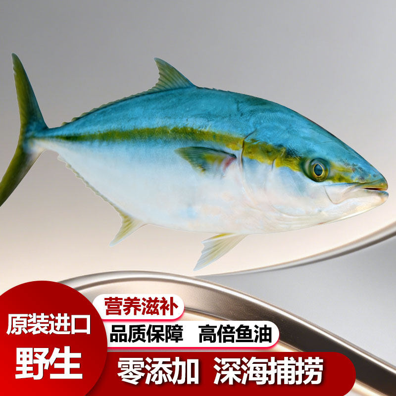 青甘鱼寒鰤鱼油甘鱼章红鱼野生进口金枪鱼刺身级炮弹鱼黄尾鰤黄鲣