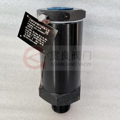 安全阀BTA-22C300C2安全阀冷冻机蒸发器非标