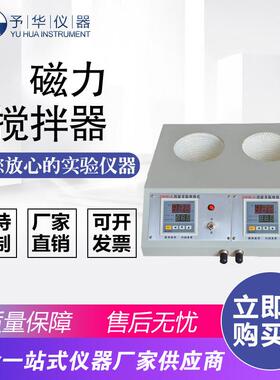 智能多联数显电热套ZNHW-DL-2联100ml250ml500ml1000ml