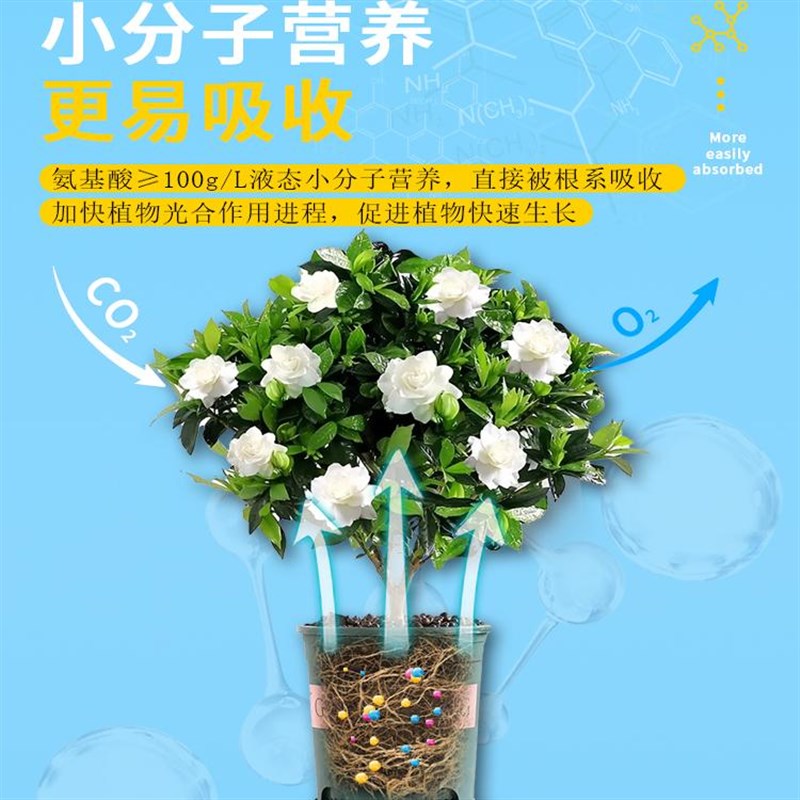 卡纳玛朵植物通用型营养液养根促花壮枝水溶肥家用园艺肥料促花