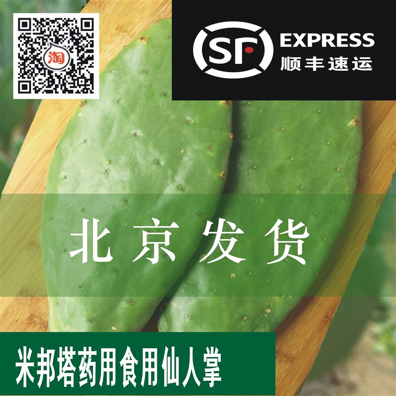 包 邮 正宗墨西哥米邦塔仙人掌盆栽药用食用外敷老片【北京发货】