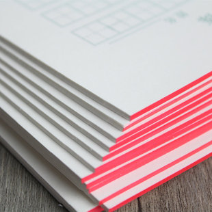 10本装 硬笔天天练 作业纸16K 拼音 生字 16开学生信纸作业纸