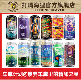 新西兰进口车库计划亚基玛IPA日出山谷双倍浑浊精酿啤酒绿颊鹦鹉