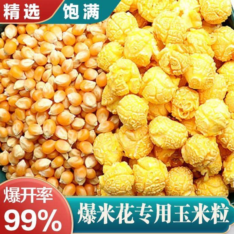 球形型爆米花玉米粒500g爆米花原料爆裂小干爆花玉米专用炸苞米花