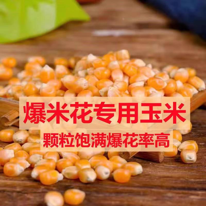正宗爆米花玉米粒 球形蝶形小玉米爆米花专用原料家用商用袋装