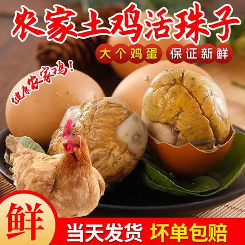 活珠子新鲜13天鸡胚蛋开袋即食香辣熟柴毛鸡蛋五香40枚正宗钢化蛋