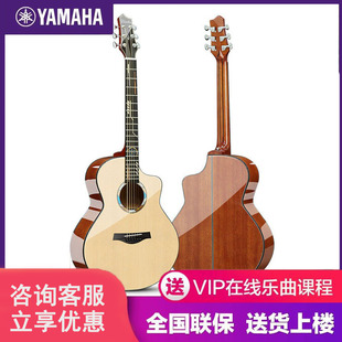 雅马哈云桃全单亮光吉他指板镶嵌民谣吉他
