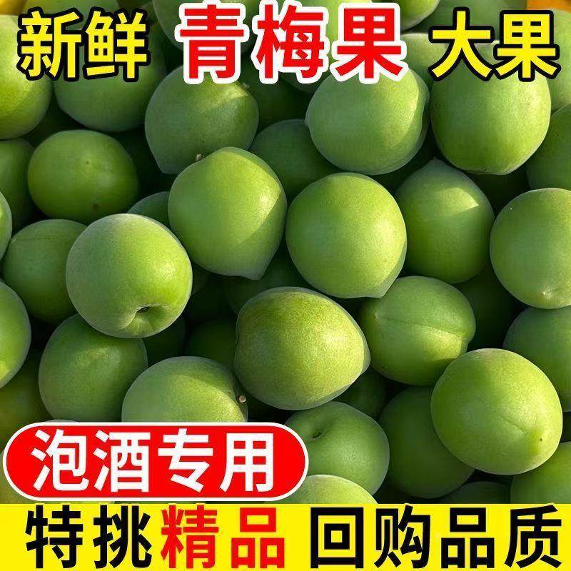 【正宗】云南老树高山青梅果新鲜净重2.8斤起酸青口脆梅子泡酒用