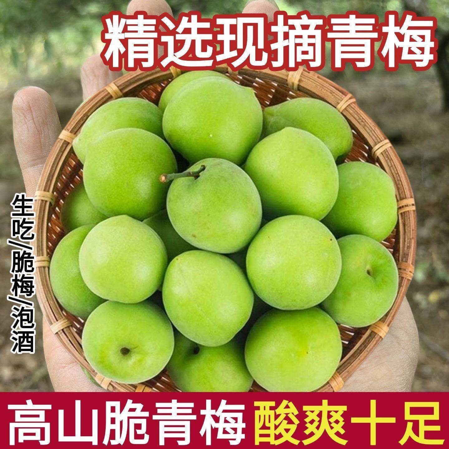 青梅新鲜青梅果泡酒胭脂梅现摘高山现摘现发苹果青梅水果