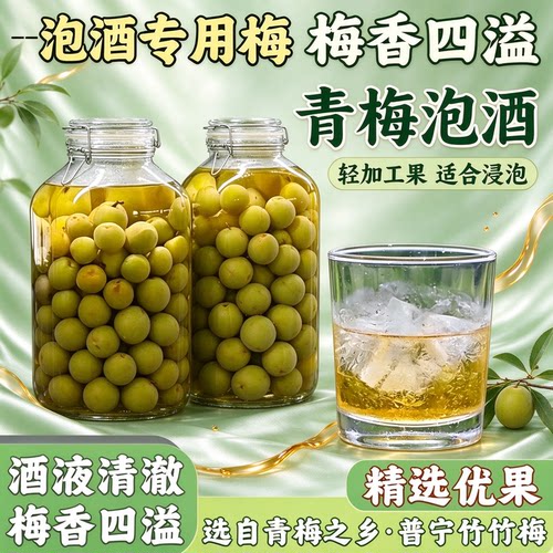 轻加工青梅鲜果泡酒半成品野生开胃软果专用酸梅子零食酸甜蜜饯