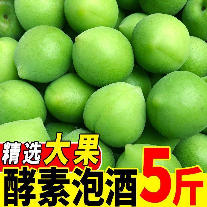 新鲜青梅果青梅福建云南散装酸梅子泡酒青梅酒酵素果酱生梅子鲜果