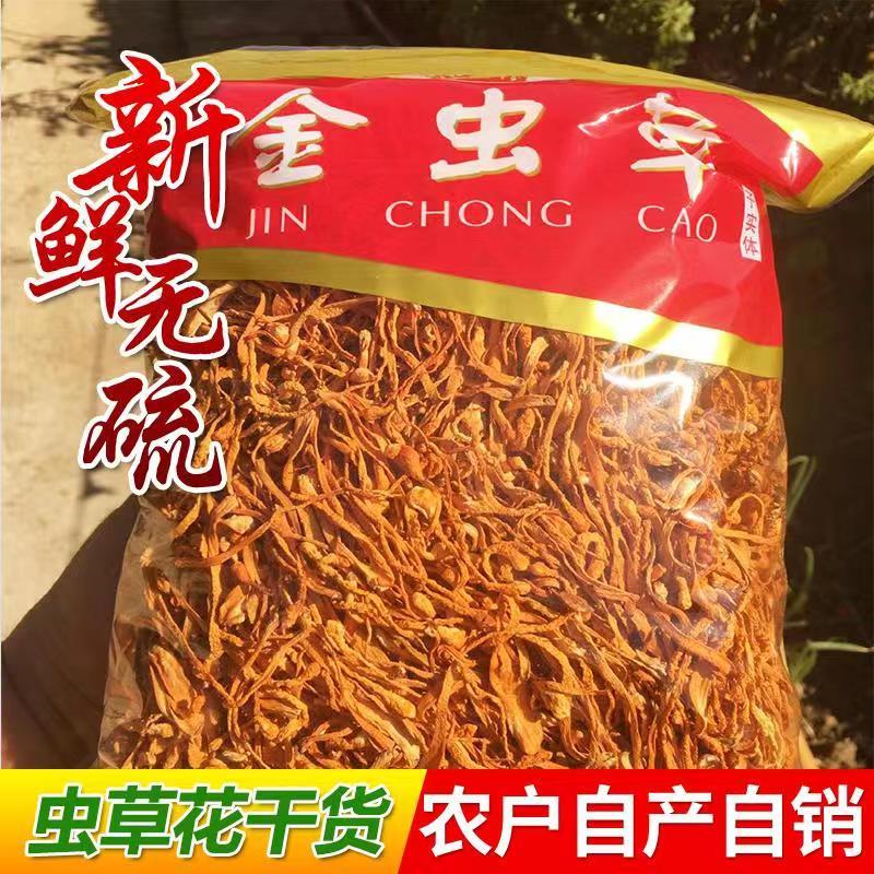 虫草花干货新鲜金蛹北虫草菇孢子头农户批发煲汤食材