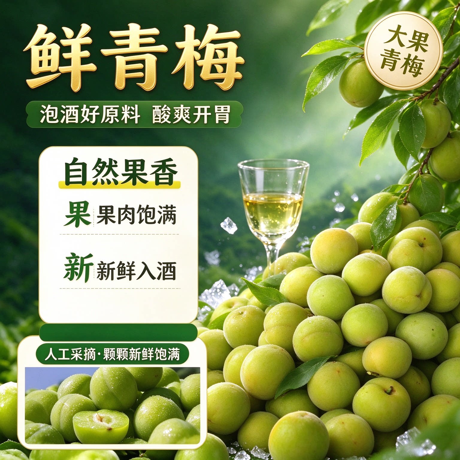 轻加工青梅鲜果泡酒半成品解腻大果完熟梅冰糖腌制黄梅青竹梅水果