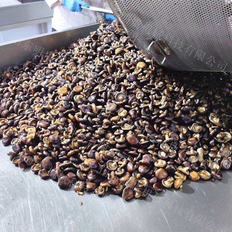香菇真空油炸机 vf果蔬脆片加工设备 秀珍菇真空低温油炸机