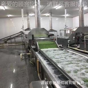 线马齿清洗机果蔬清洗 袋流清洗风干水 莴笋气IST泡清洗苋机 包装